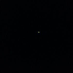 Meet your Posher, Curtis